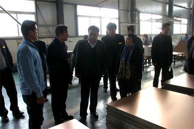 省工信厅副厅长任国莅临大荔调研新能源产业发展情况